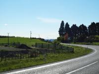 Wellington - Ohakune