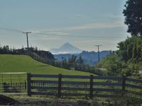 Wellington - Ohakune - Mount Taranaki