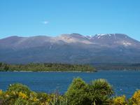 Lake Rotoaira und Mount Tongariro