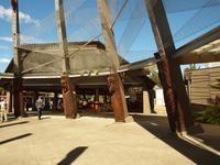 Rotorua - Te Puia Thermalpark