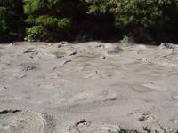 Rotorua - Te Puia Thermalpark