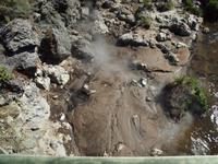 Rotorua - Te Puia Thermalpark