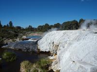 Rotorua - Te Puia Thermalpark