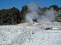 Rotorua - Te Puia Thermalpark