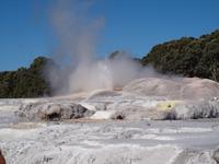 Rotorua - Te Puia Thermalpark