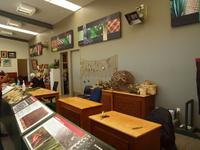 Rotorua - Te Puia Thermalpark