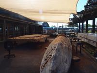 Rotorua - Te Puia Thermalpark