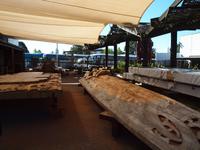 Rotorua - Te Puia Thermalpark