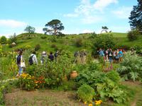 Filmset Hobbiton