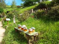 Filmset Hobbiton