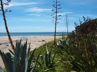 Cambridge - Coromandel - Hot Water Beach