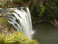 Coromandel - Paihia - Whangarei Falls