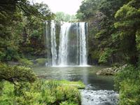 Coromandel - Paihia - Whangarei Falls