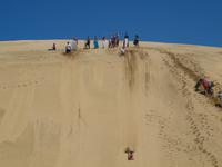 Freizeit in Paihia - Ausflug zum Cape Reinga - Sanddünensurfen
