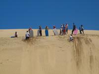 Freizeit in Paihia - Ausflug zum Cape Reinga - Sanddünensurfen