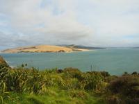 Paihia - Auckland - Wanderdünen bei Opononi
