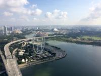 Singapore Flyer