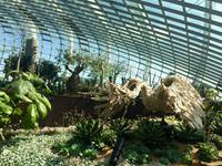 Singapur Gardens by the Bay