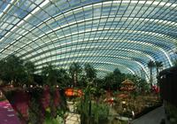 Singapur Flower Dome