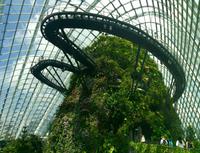 Singapur Cloud Forest
