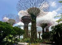 Singapur Supertree Grove