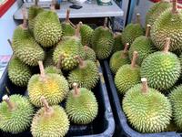 Durian - die Stinkfrucht