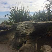 Pancake Rocks