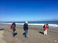 Ship Creek - Muschelsammlerparadies