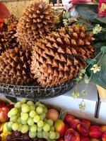 bei Ms Johnes' Obstplantagen