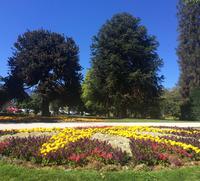 Impressionen aus dem Botanischen Garten Queenstown