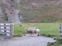 An der Walter Peak Station