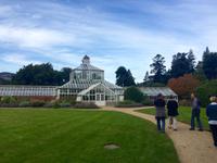 Dunedin Botanischer Garten