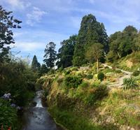 Dunedin Botanischer Garten