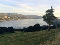 Dunedin - der Morgen erwacht