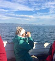 Fahrt mit der Monarch