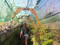 Pinguin-Rettungsstation