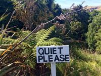 Pinguin-Rettungsstation