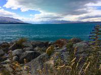 Lake Tekapo