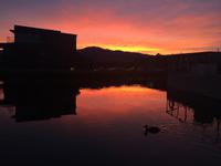 Hotel am Lake Tekapo