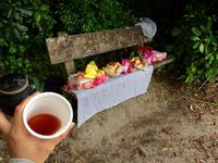 Rotopounamu Rundgang