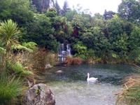 Rainbow Springs-Park