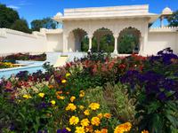 Cambrige Gardens - Indian Garden