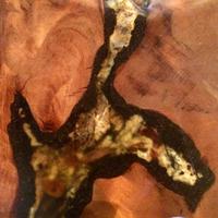 Kauri-Museum - Bernstein