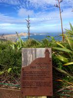 Cape Reinga