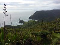 Cape Reinga