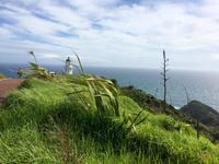 stürmisches Cape Reinga