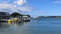 1363 Pahia - Strand