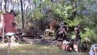1377 Ausflug zum Cap Reinga - Gumdigger-Park -