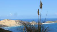 1408 Ausflug zum Cap Reinga -