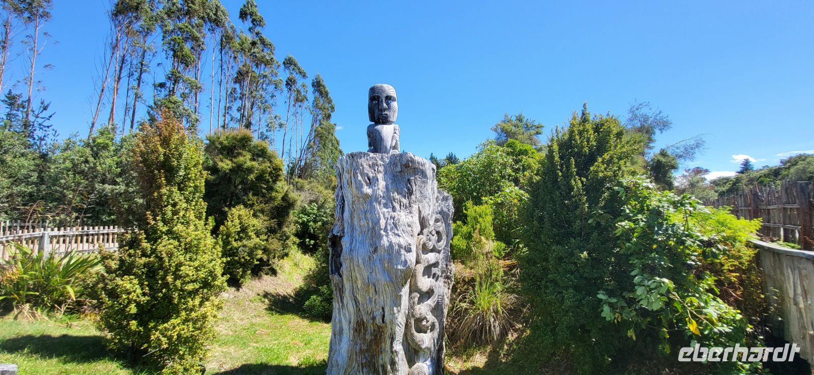 145 Wairakei